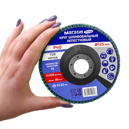 Круг шлифовальный лепестковый комплект МЕГЕОН 61008-10 купить по низкой цене | МАКСПРОФИТ